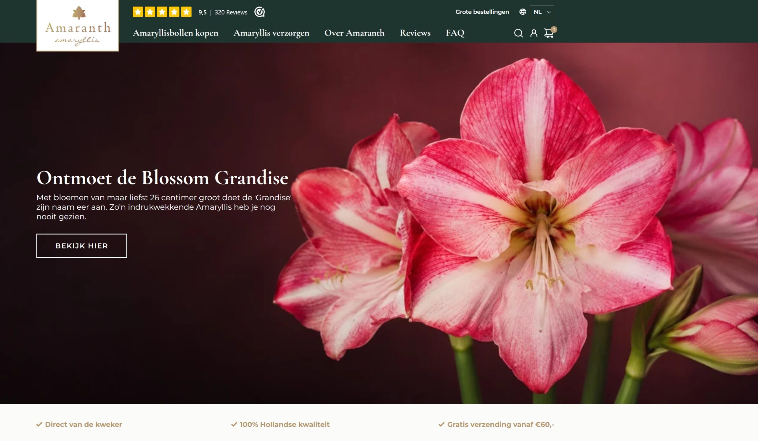 homepage amaranth